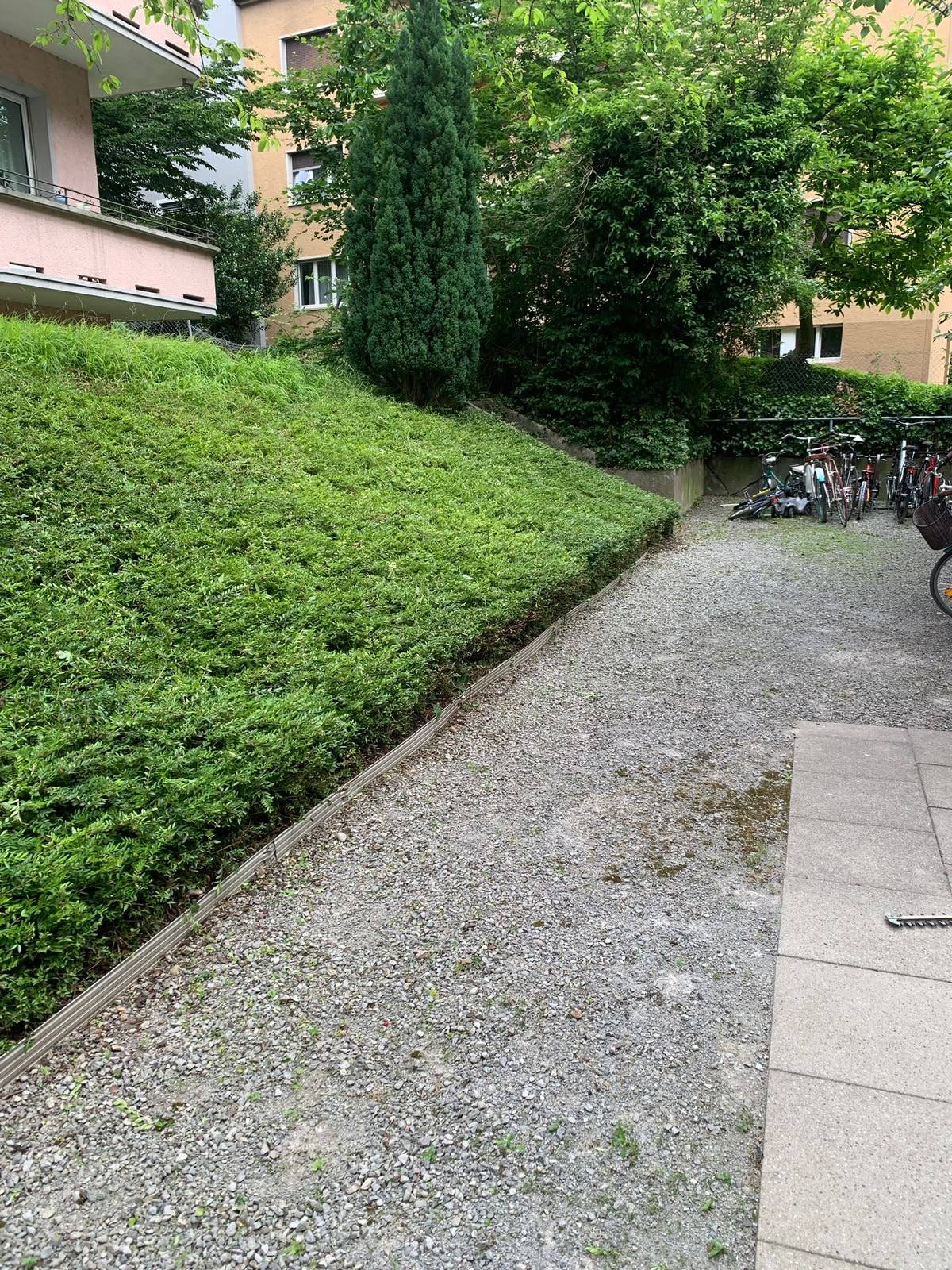 Geschnittene Hecke an einer steilen Böschung
