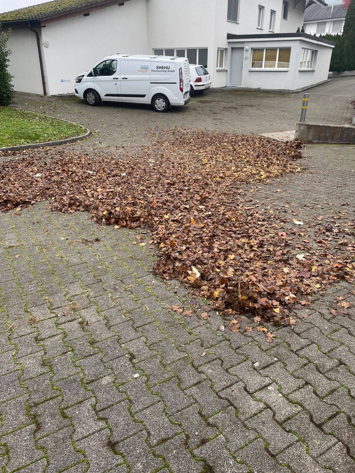 Laubbeseitigung auf dem Vorplatz mit SHEHU Fahrzeug