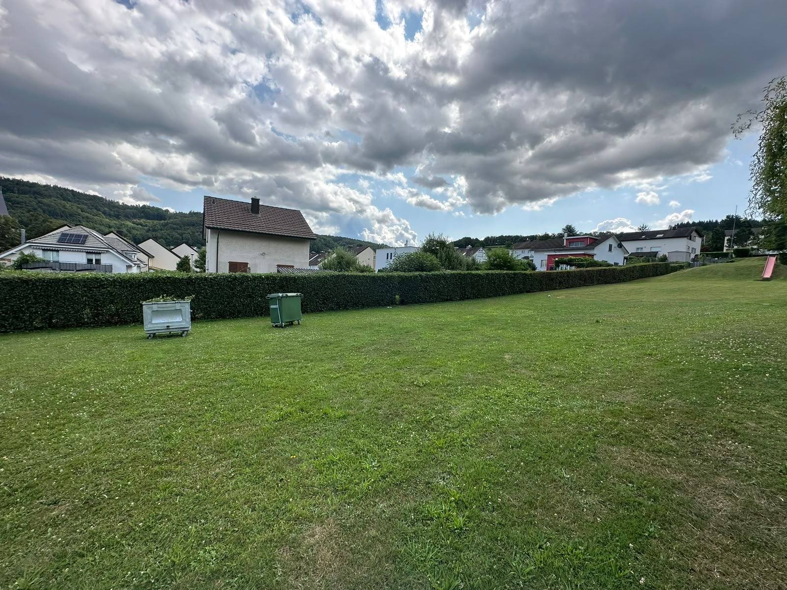 Gemähte Rasenfläche mit geschnittener Hecke