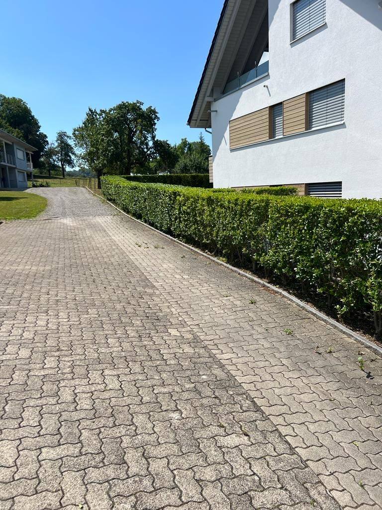 Geschnittene Hecke entlang der Zufahrt einer Liegenschaft